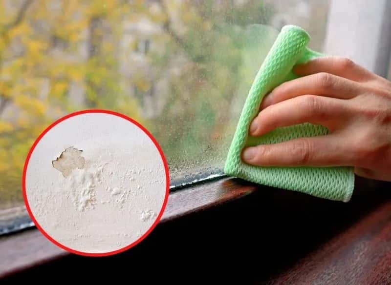 Skuteczne sposoby na wilgoć na oknach, które naprawdę działają