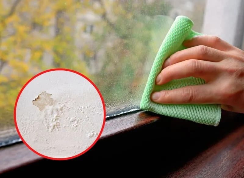 Skuteczne sposoby na wilgoć na oknach, które naprawdę działają