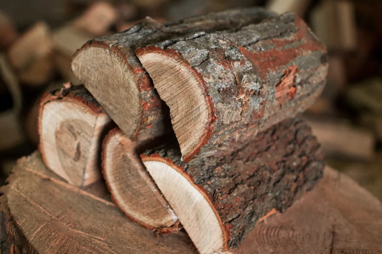 Czy jesion nadaje się do kominka? Odkryj jego zalety i wady