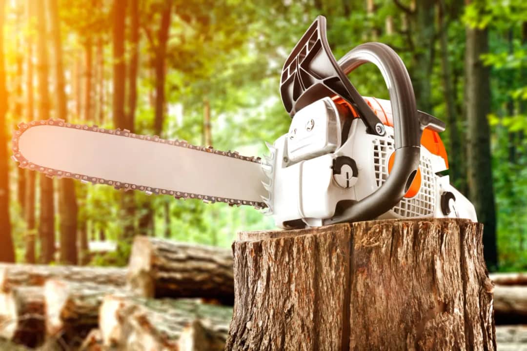 Jaką piłę spalinową wybrać, aby uniknąć rozczarowania?